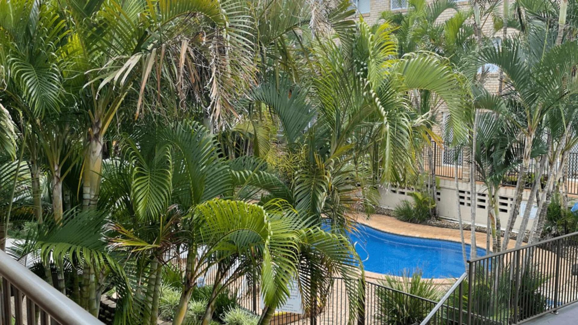 Cabarita Beachfront Apartments By Kingscliff Accommodation מראה חיצוני תמונה